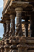The great Chola temples of Tamil Nadu - The Airavatesvara temple of Darasuram. The peripheral columns of the  mandapa with seated yalis at the base.